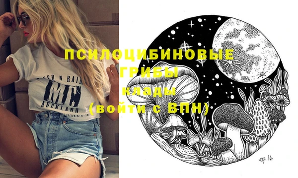 ECSTASY Армянск